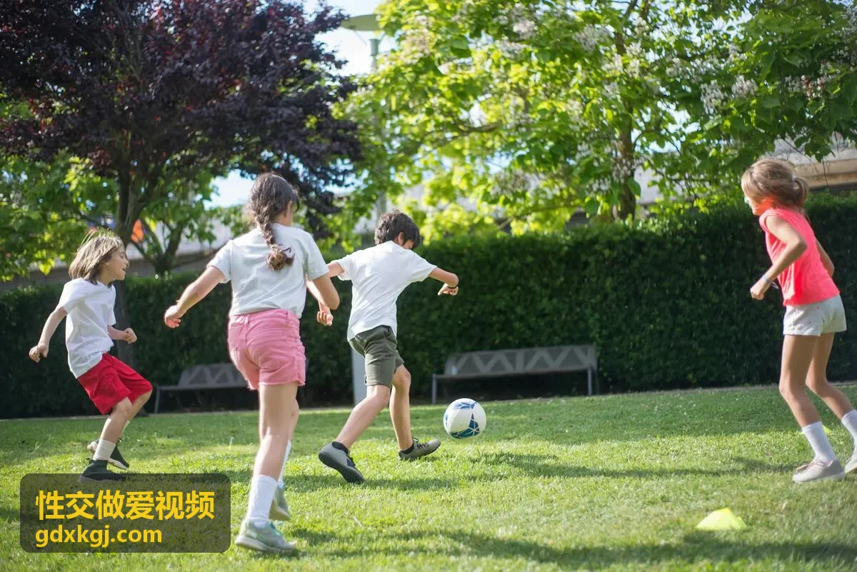 高清精选大片性交做爱视频合集